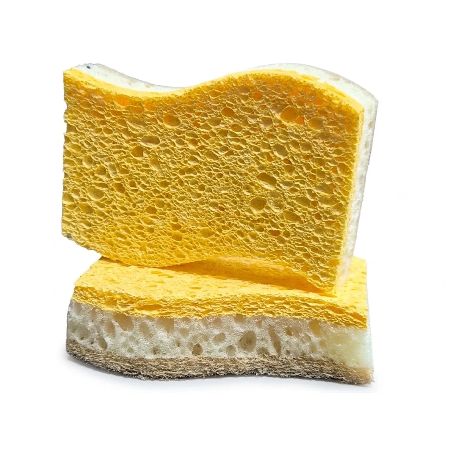 6Pcs Natural Kitchen Sponges