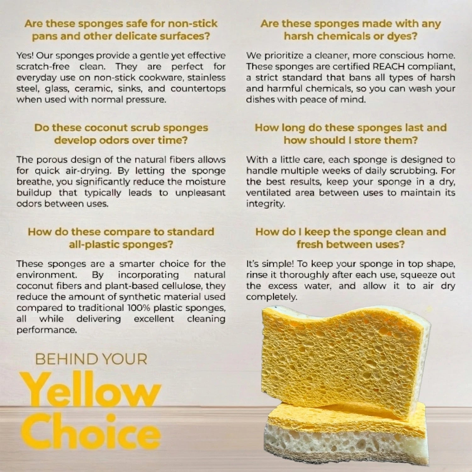 6Pcs Natural Kitchen Sponges